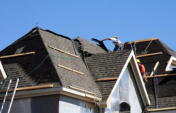 Best Roof Moss and Algae Removal  in Cannon Af, NM
